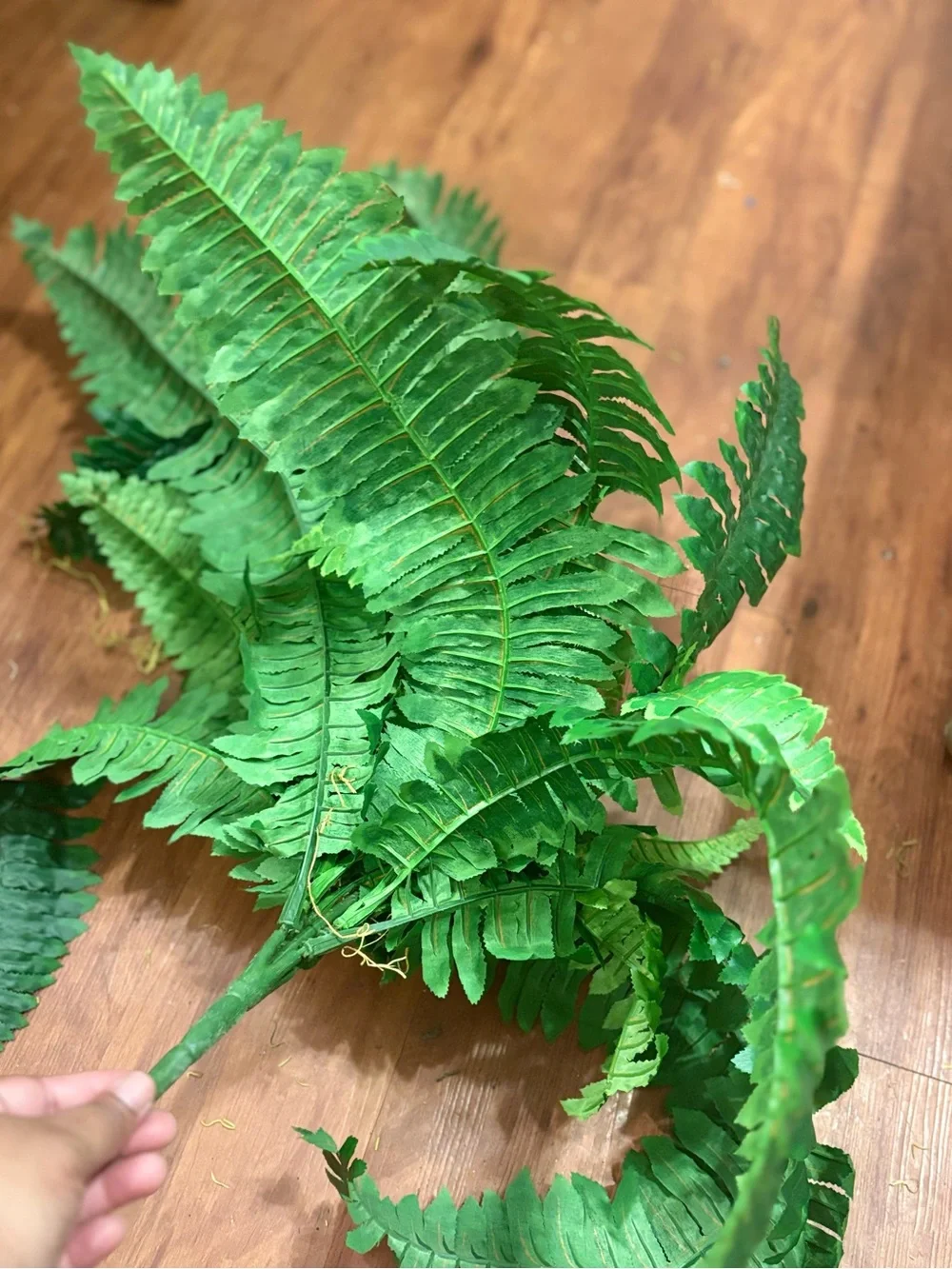 Decorative Green Ferns - Home Accents